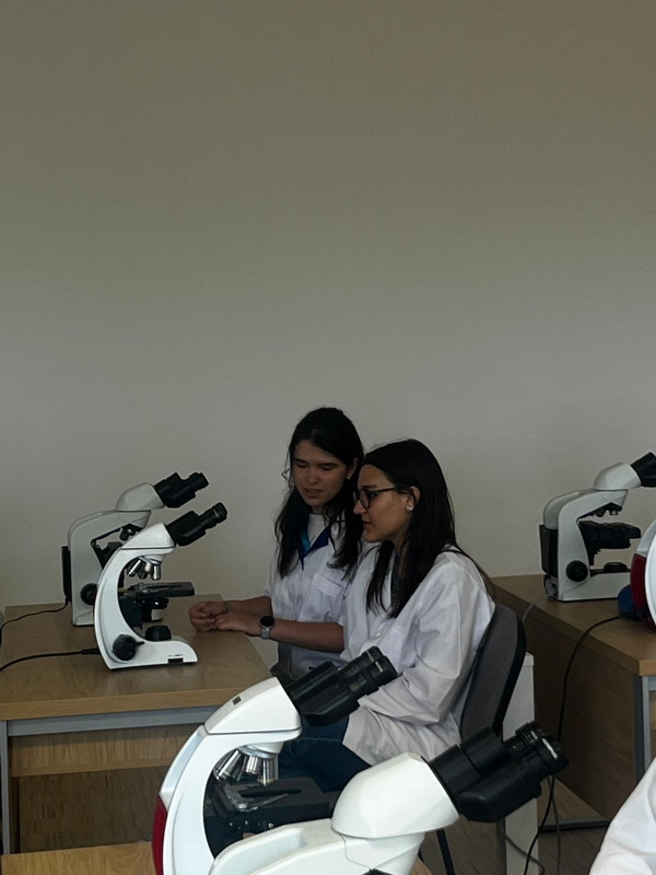 Performerii Neamțului / Renata Antonia Pricopie, olimpică de la CNI - un viitor neurochirurg! 3 renata pricopie 3 resize