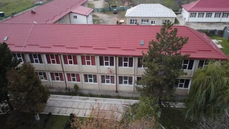 ruset roznoveanu resize