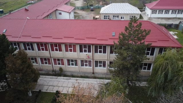 ruset roznoveanu resize