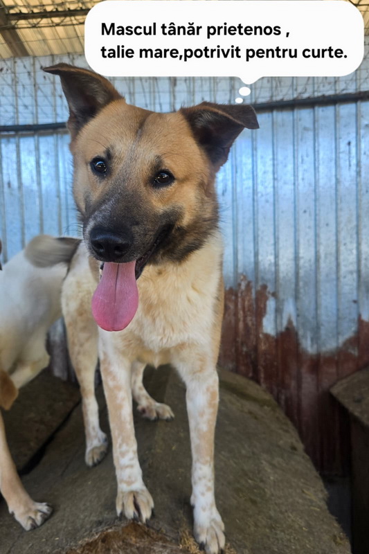 salubritas catel 09 resize