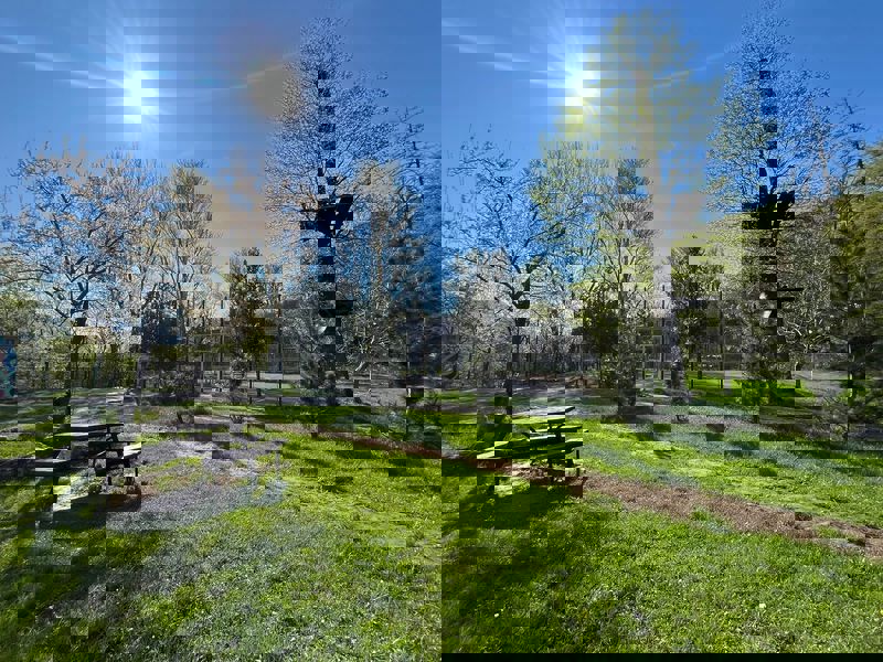 FOTO&VIDEO Ședință de îndată la Piatra Neamț: finanțare pentru 3 proiecte turistice de peste 240 de milioane de lei 10 strand 5