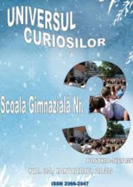 Reviste școlare premiate: pe primul loc patru liceale și două gimnaziale! 2 Piatra Neamt
