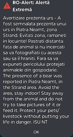 Ursul care a apărut în Piatra Neamț în ultimele zile a fost împușcat 1 URS