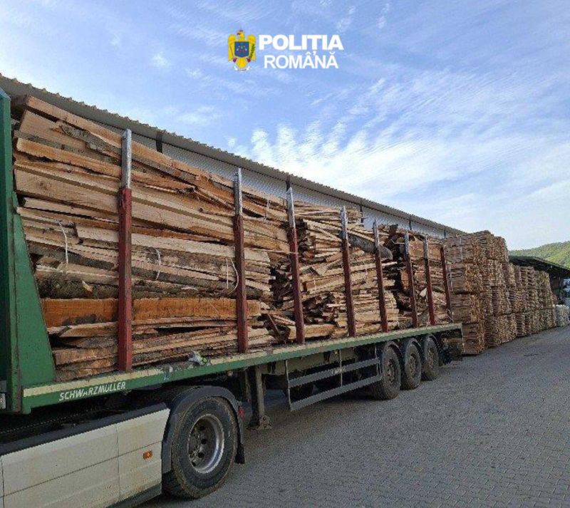 15 transporturi ilegale de lemn identificate de Poliție în Neamț – sechestru pe vehicule și marfă în valoare de 500.000 de euro 1 WhatsApp Image 2026 05 13 at 11.01.55