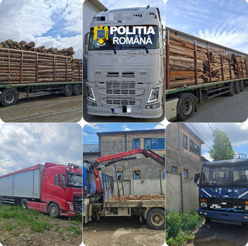15 transporturi ilegale de lemn identificate de Poliție în Neamț – sechestru pe vehicule și marfă în valoare de 500.000 de euro WhatsApp Image 2026 05 13 at 11.01.58
