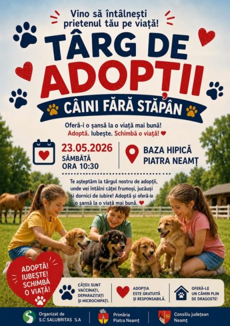 Târg de adopții pentru câini fără stăpân la baza hipică din Piatra Neamț WhatsApp Image 2026 05 22 at 08.29.54