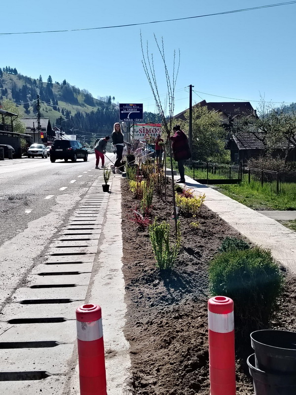 ”Pentru Borca, pentru oameni!” / Investiții majore cu impact real pe meleagurile Vitoriei Lipan 1 borca strada principala cu puieti noi resize