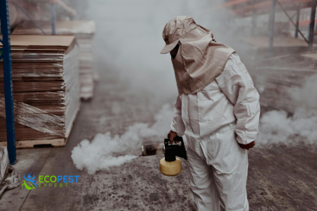 ecopestexpert.ro servicii dezinsectie Piatra Neamt Mesagerulneamt.ro