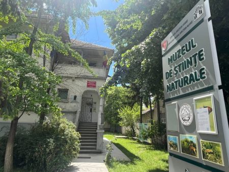 Muzeul de Științe Naturale din Piatra Neamț își suspendă activitatea pentru lucrări de modernizare muzeu naturale neamt 1