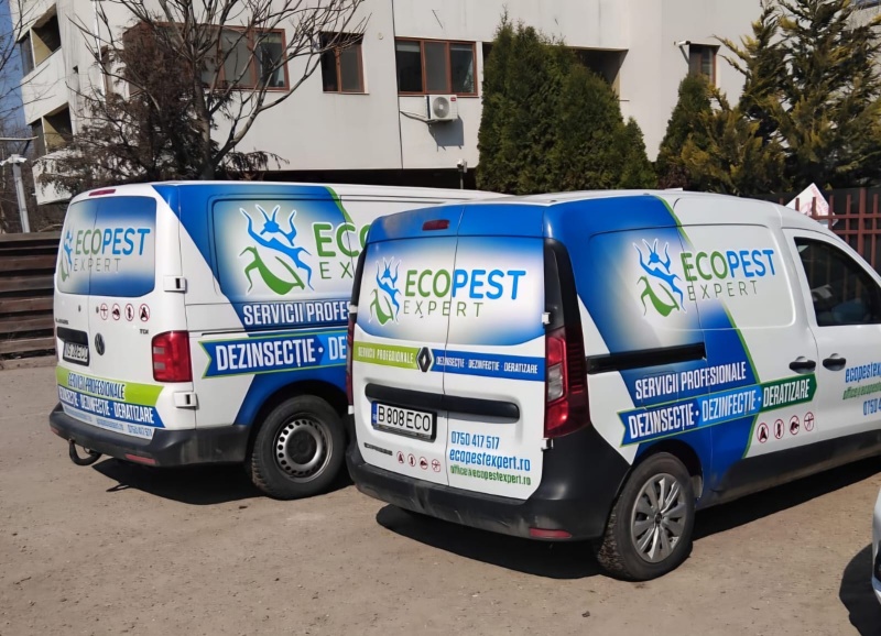 Cum gestionează EcoPest Expert serviciile de dezinsecție pentru firme din Piatra Neamț? 2 servicii piatra neamt