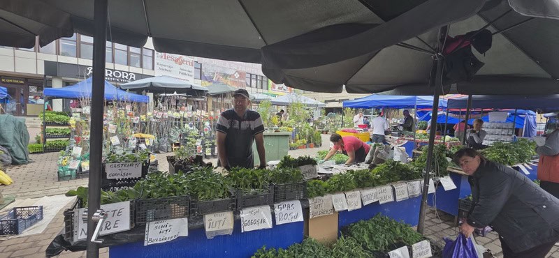 urban rasaduri 10 resize - Pentru o primăvară bogată, Răsadurile și puieții de pomi fructiferi vă așteaptă în Piața Centrală!