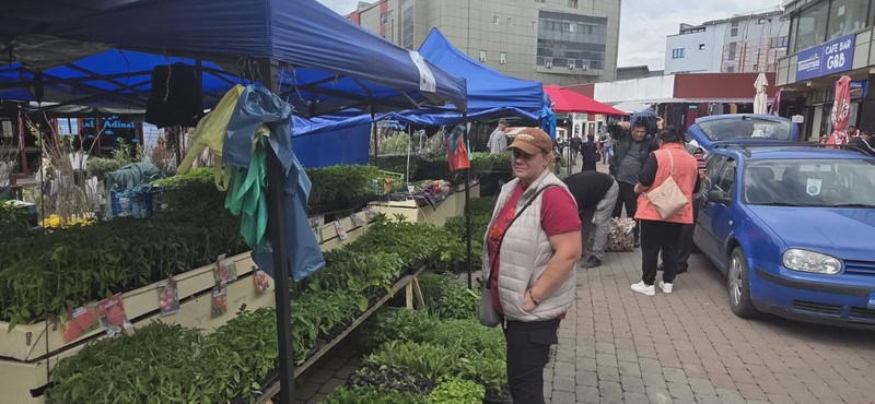 urban rasaduri 2 resize - Pentru o primăvară bogată, Răsadurile și puieții de pomi fructiferi vă așteaptă în Piața Centrală!