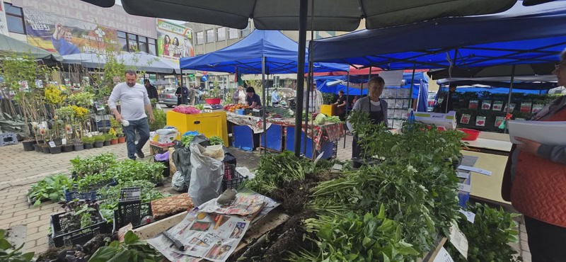 urban rasaduri 7 resize - Pentru o primăvară bogată, Răsadurile și puieții de pomi fructiferi vă așteaptă în Piața Centrală!