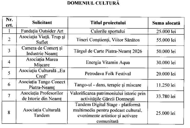 Cultură: finanțări pentru festivaluri, educație și inițiative creative la Piatra-Neamț 1 Cultura
