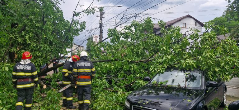 VIDEO. Consecințele furtunii la Piatra Neamț – copaci căzuți, mașini lovite WhatsApp Image 2026 06 11 at 15.40.42