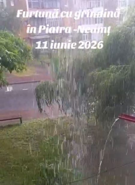VIDEO. Consecințele furtunii la Piatra Neamț – copaci căzuți, mașini lovite furtuna