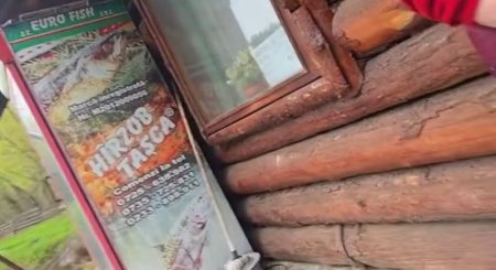Video. Mic model de evaziune fiscală tolerată în “Țara lui Vodă” pescarie