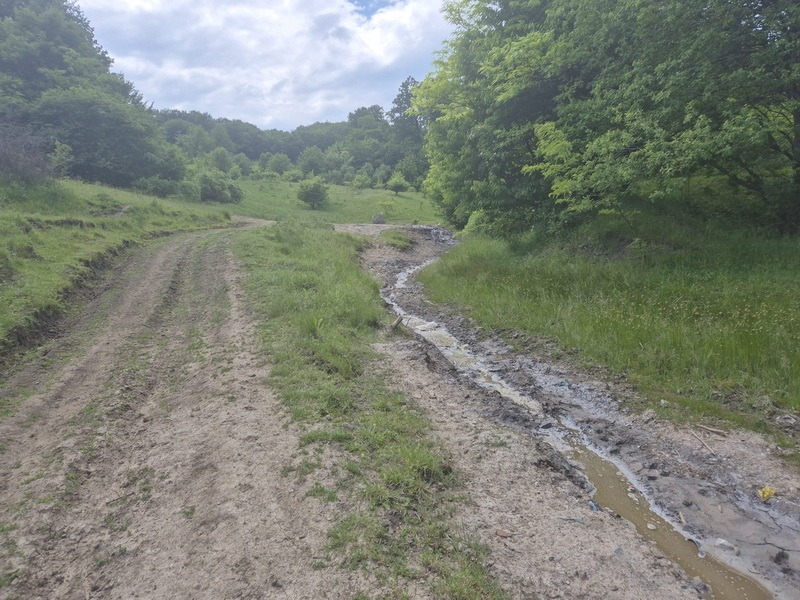 Poiana Slatinei – comoara milenară dintre patrimoniu și nepăsare 1 poiana slatinei 1 resize