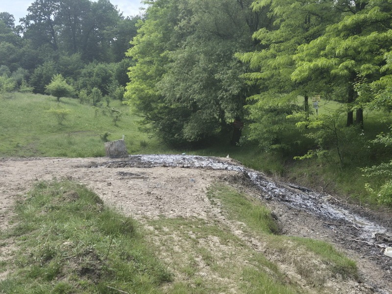 Poiana Slatinei – comoara milenară dintre patrimoniu și nepăsare 2 poiana slatinei 2 resize
