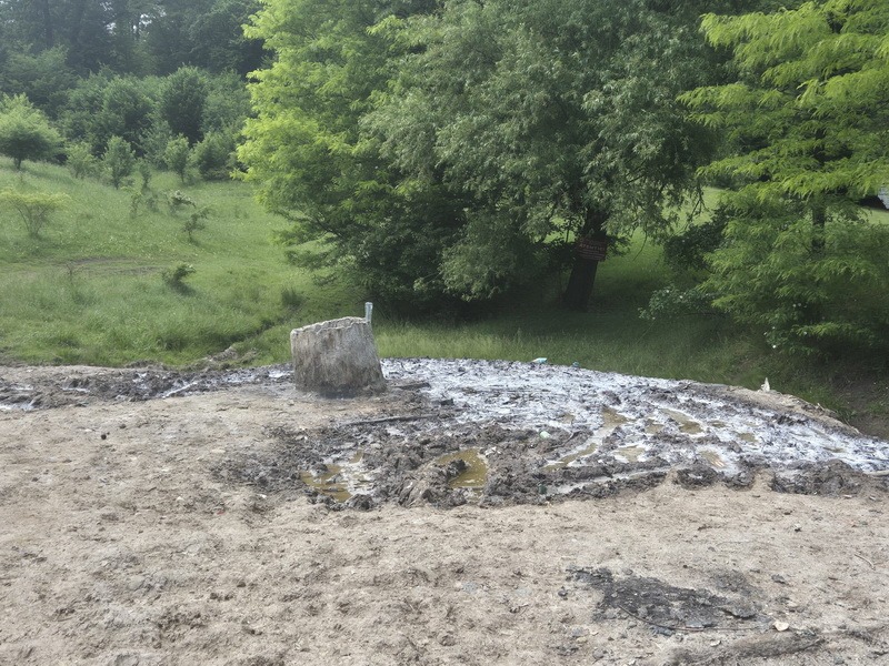 Poiana Slatinei – comoara milenară dintre patrimoniu și nepăsare 4 poiana slatinei 3 resize