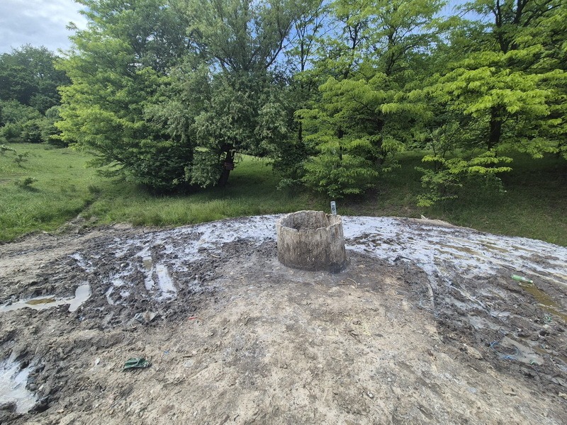 Poiana Slatinei – comoara milenară dintre patrimoniu și nepăsare 5 poiana slatinei 4 resize