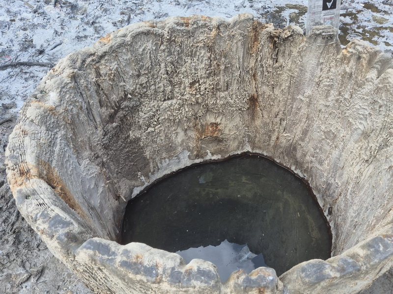 Poiana Slatinei – comoara milenară dintre patrimoniu și nepăsare 8 poiana slatinei 6 resize
