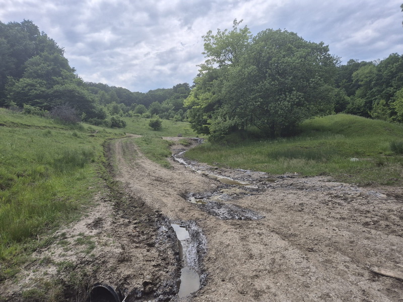 Poiana Slatinei – comoara milenară dintre patrimoniu și nepăsare 9 poiana slatinei 7 resize