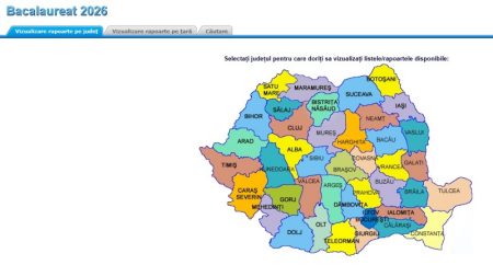 Emoții și calcule! Primele rezultate la Bacalaureat au fost afișate! BACALAUREAT
