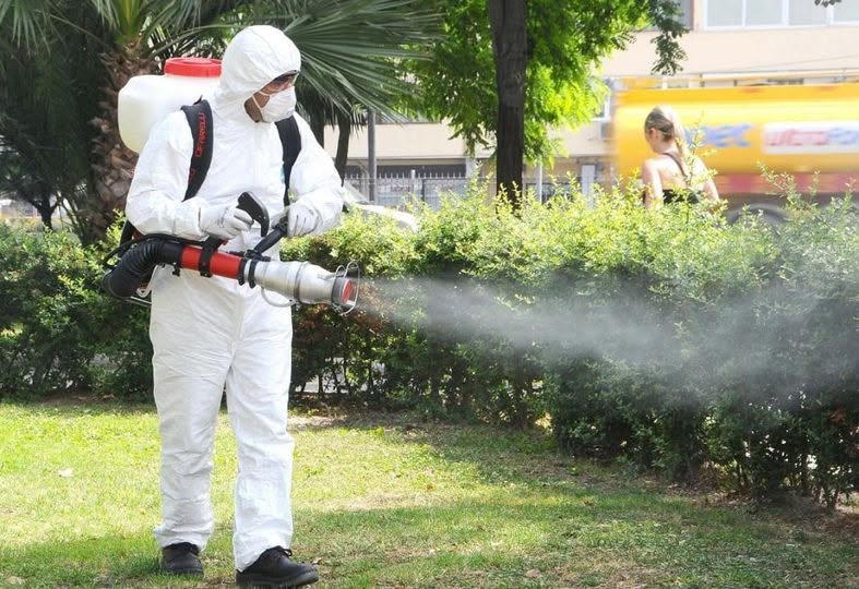 Insectele adulte combătute prin dezinsecții nocturne. Ce li se recomandă locuitorilor din Piatra Neamț WhatsApp Image 2026 07 13 at 10.36.13