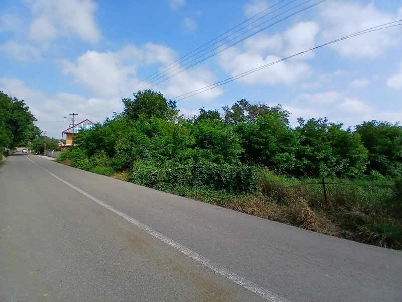 dragomiresti canabis 01 resize - Canabis de milioane, ascuns într-un solar din Hlăpești. Cum a ajuns un sat din Neamț în centrul unei anchete DIICOT