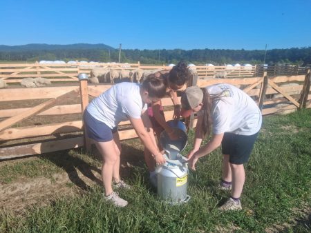 Din Franța, direct în fermele din Neamț / Cinci tineri învață agricultura românească și descoperă viața satului fermieri francezi 7 resize