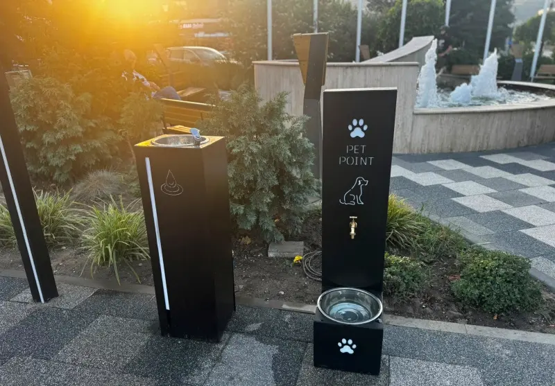 Oaze de răcoare moderne pentru zilele toride ale pietrenilor 3 8854aed0 431a 4037 9f14 d80f7c955f33