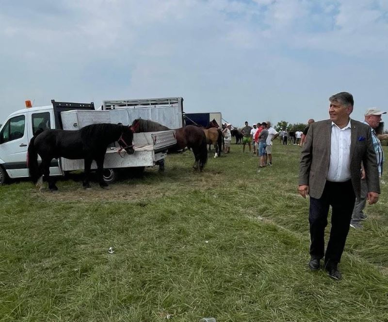 FOTO. Târgul de cai din Roman a revenit de Schimbarea la Față: crescători din șase județe, la iazul Nemecec 1 WhatsApp Image 2026 08 07 at 10.24.17 1