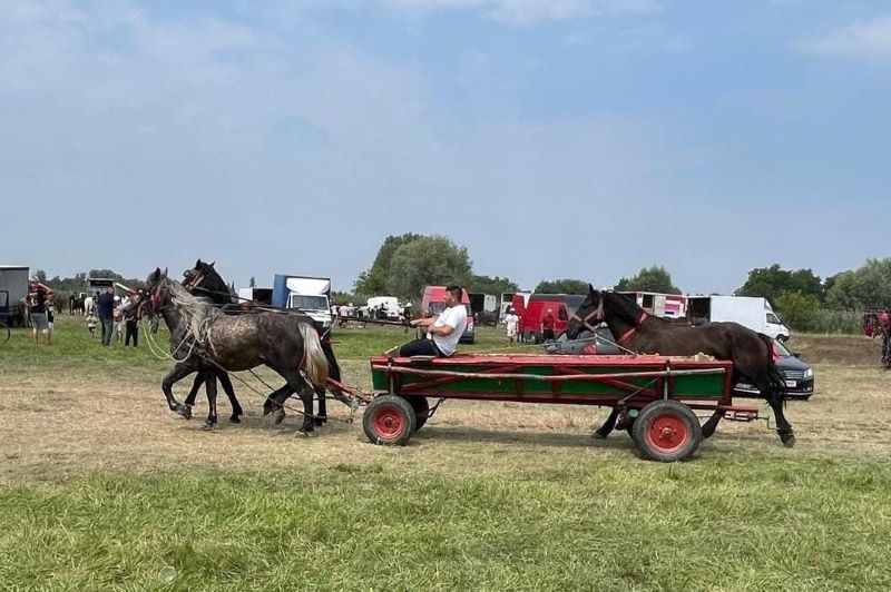 FOTO. Târgul de cai din Roman a revenit de Schimbarea la Față: crescători din șase județe, la iazul Nemecec 2 WhatsApp Image 2026 08 07 at 10.24.19
