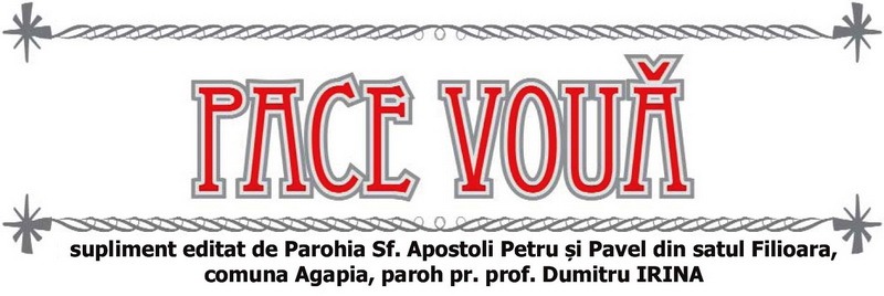 „Dăruind vei dobândi!” - peste 300 de participanți, 4 zile de credință, prietenie și bucurie la Tabăra de creație de la Filioara Agapiei / Biserica Vie sunt Oamenii! 1 header pace voua