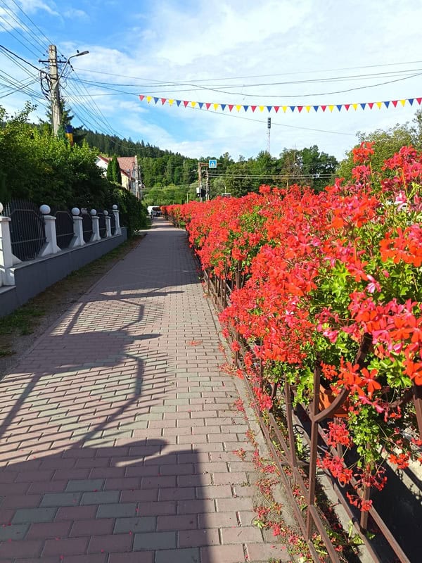 tasca 1 flori resize - Comuna Tașca – sub semnul transformărilor