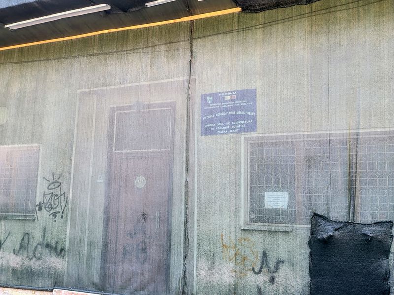 Video-Foto. Piatra-Neamț. O universitate din Iași ține o clădire abandonată în centrul orașului