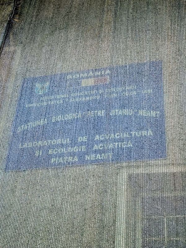 Video-Foto. Piatra-Neamț. O universitate din Iași ține o clădire abandonată în centrul orașului