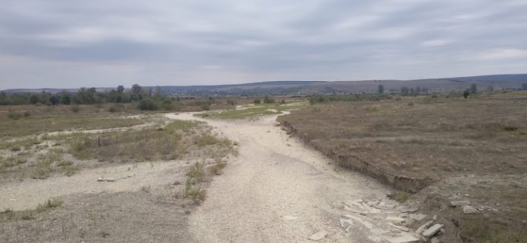 VIDEO-FOTO. Ozana, aproape fără apă în zona Târgu-Neamț