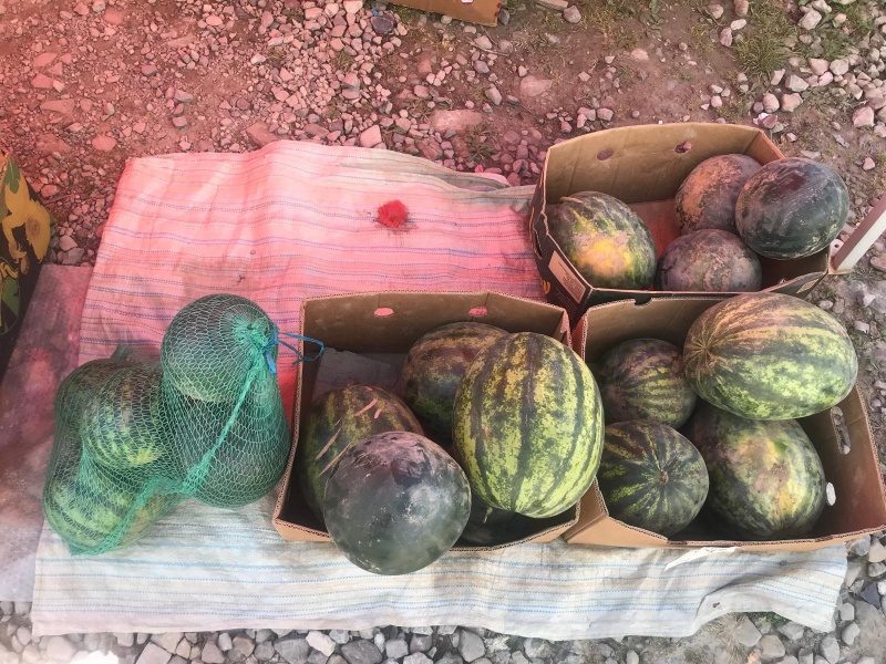 FOTO. Târgul săptămânal din Borca 11 Pepeni proaspeți expuși la târgul din Borca pentru vânzare.