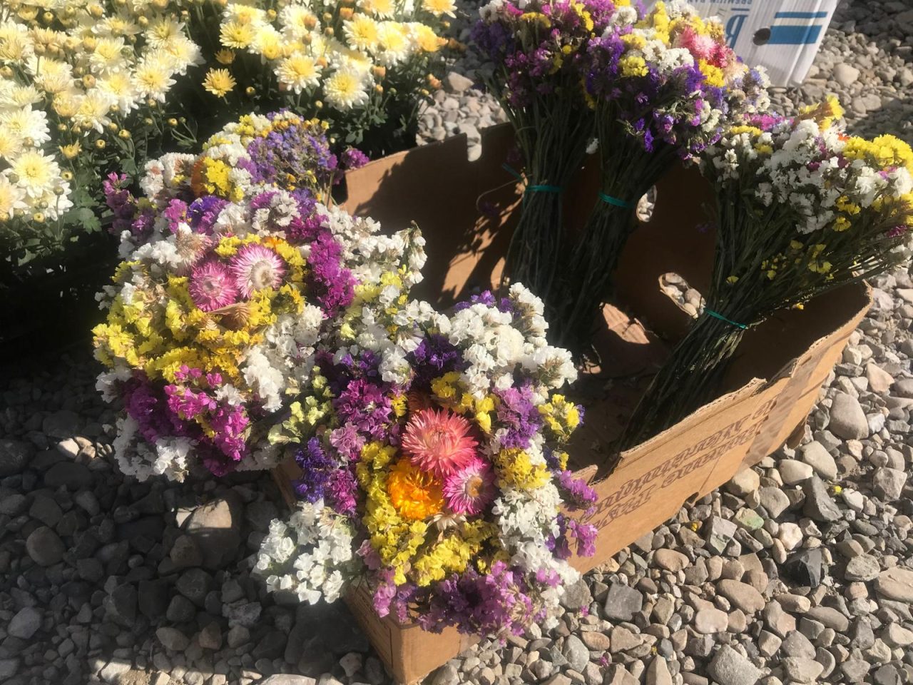 FOTO. Târgul săptămânal din Borca 18 Buchete de flori colorate pentru târgul săptămânal din Borca.