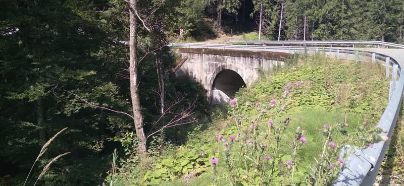 „Transalpina” strategică dintre Neamț și Suceava / Drumul Talienilor, pe urmele Vitoriei Lipan