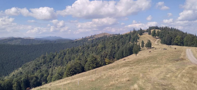 „Transalpina” strategică dintre Neamț și Suceava / Drumul Talienilor, pe urmele Vitoriei Lipan