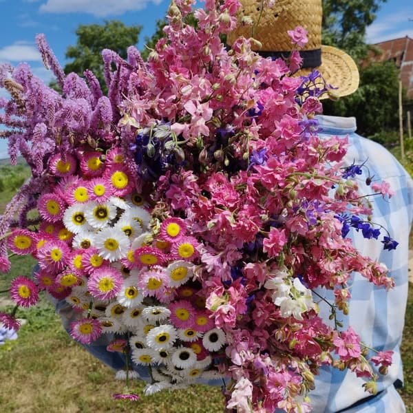 Grădina cu flori nemuritoare de la Zănești: „Tot timpul trebuie să fii acolo. Ai plecat în concediu o săptămână, poți să-ți iei concediu total”