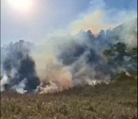Foto. Se întâmplă acum! Arde Pădurea "La Arsură" dintre Bâtca Doamnei și Agârcia