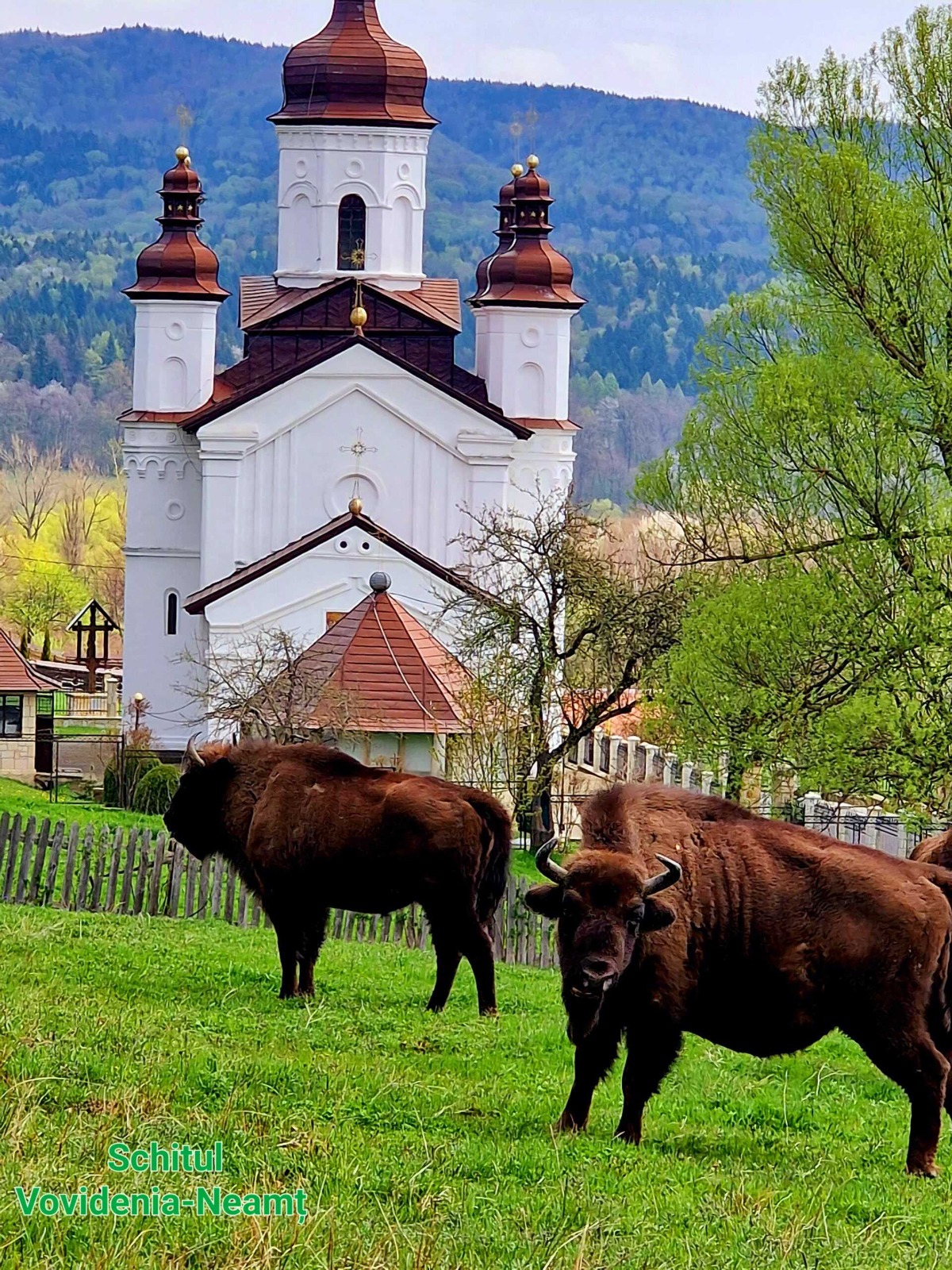 Peisajul Cultural Monahal Vânători-Neamț, încă un pas pentru includerea în patrimoniul UNESCO. Întâlnire în Sala Tronului de la Cetatea Neamț Peisajul Cultural Monahal Vânători-Neamț, încă un pas pentru includerea în patrimoniul UNESCO. Întâlnire în Sala Tronului de la Cetatea Neamț