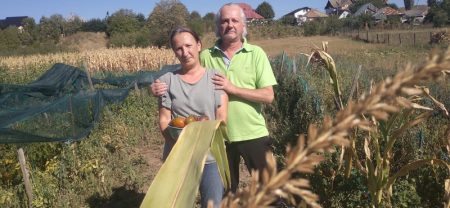 Grădina celor 300 de soiuri la Piatra Neamț: agricultura bio, făcută cu trudă și pasiune Cuplu de fermieri în grădina cu soiuri diverse de legume și cereale.