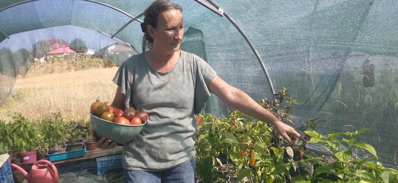 Grădina celor 300 de soiuri la Piatra Neamț: agricultura bio, făcută cu trudă și pasiune