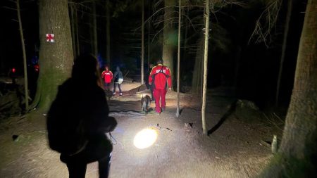 VIDEO&FOTO Noapte albă pentru trei turiști din Vaslui rătăciți în Ceahlău Turiști în pădurea Ceahlău noaptea, cu echipament de salvare.