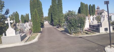 Aleie centrale într-un cimitir liniștit cu brazi și cruci de piatră.